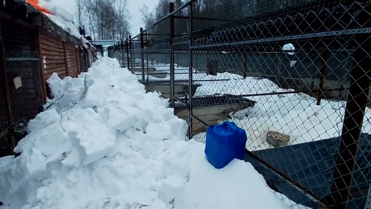 Приют на грани