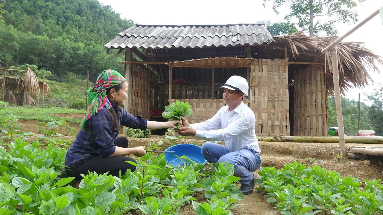 Kind CEO helping Evicted Single Mother Harvest Eggs, Vegetables for Sell, Build Toilet