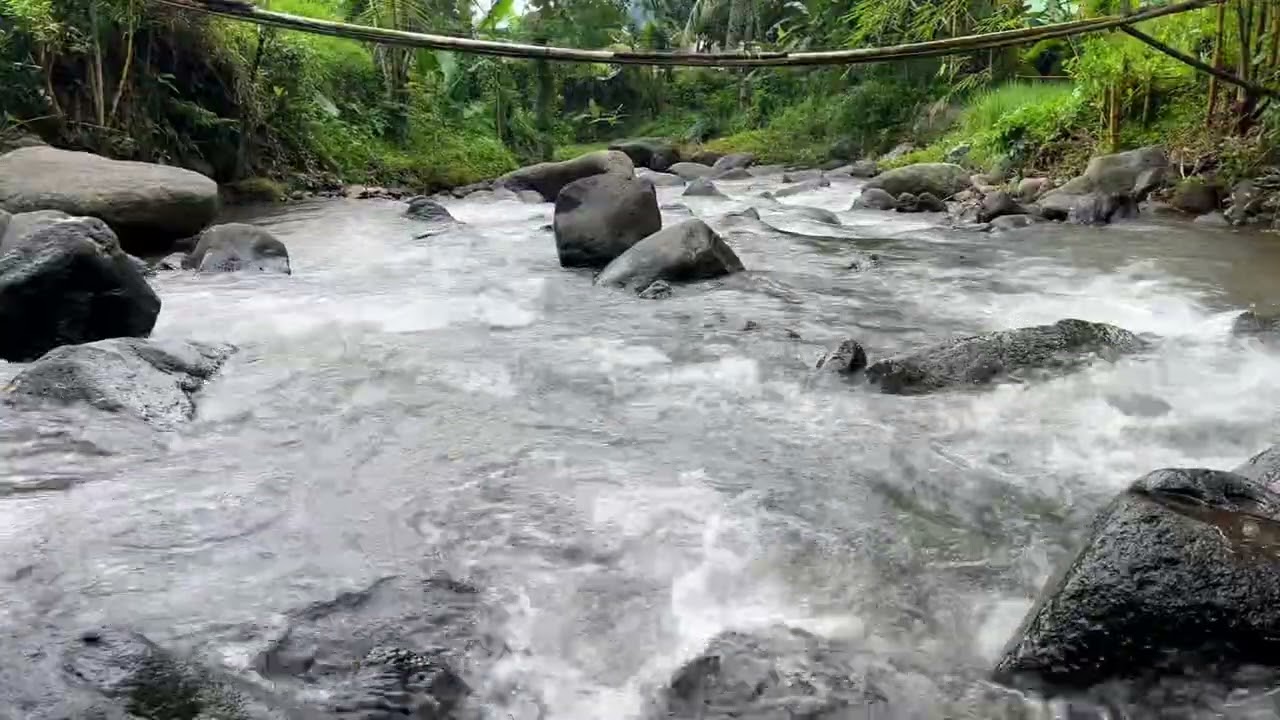 Relaxing River Flow with Water Sounds in a Peaceful ASMR | For Sleeping & Meditation 