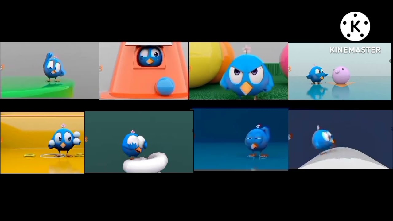 8 parison pingoo bird