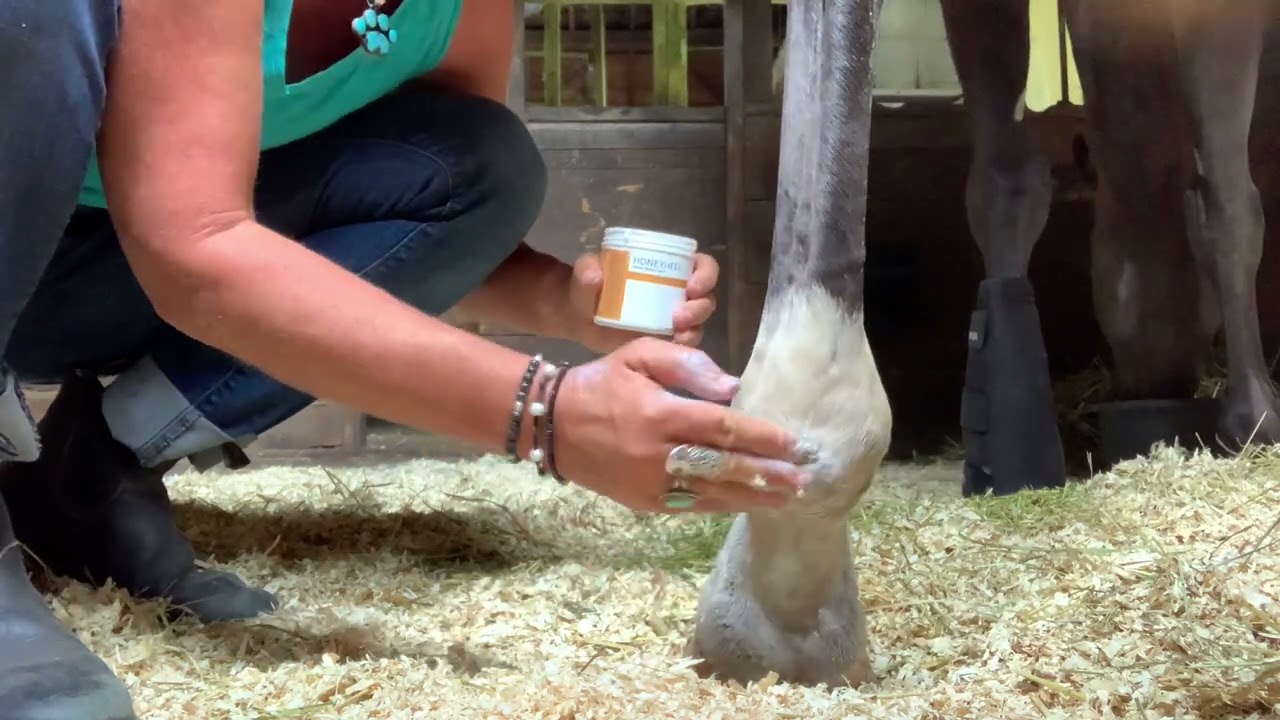 Honeyheel Review for Horse with Scratches