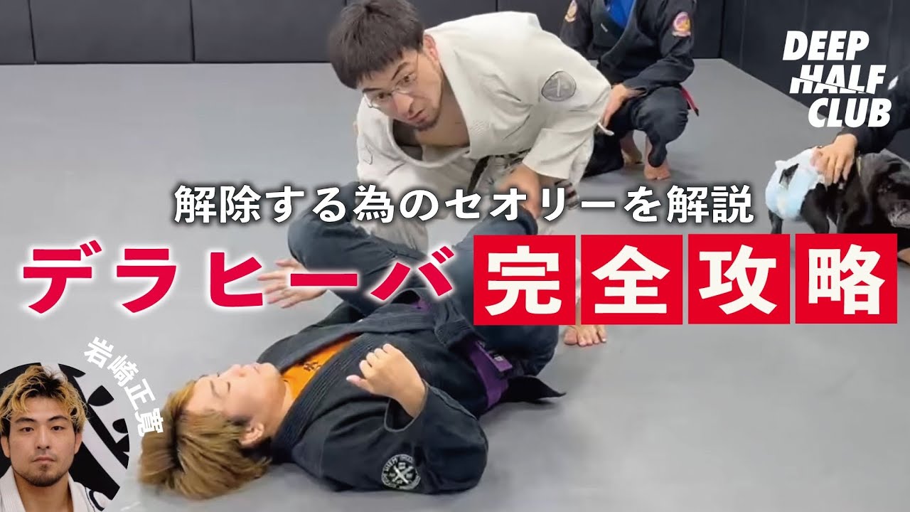 デラヒーバガードを攻略する為に必要なセオリーについて解説した