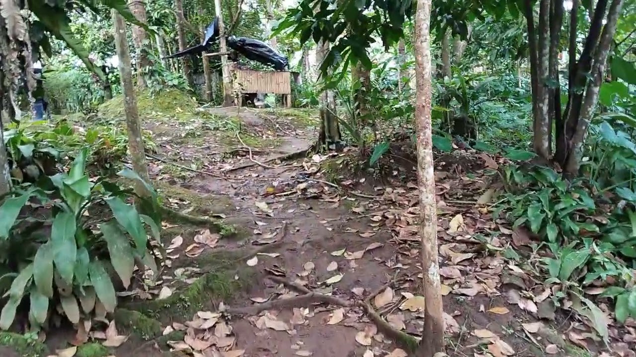 Property for sale in Liliw, Laguna / Clean titled‼️ & 15,000 sq.m @ 800 per sq.m