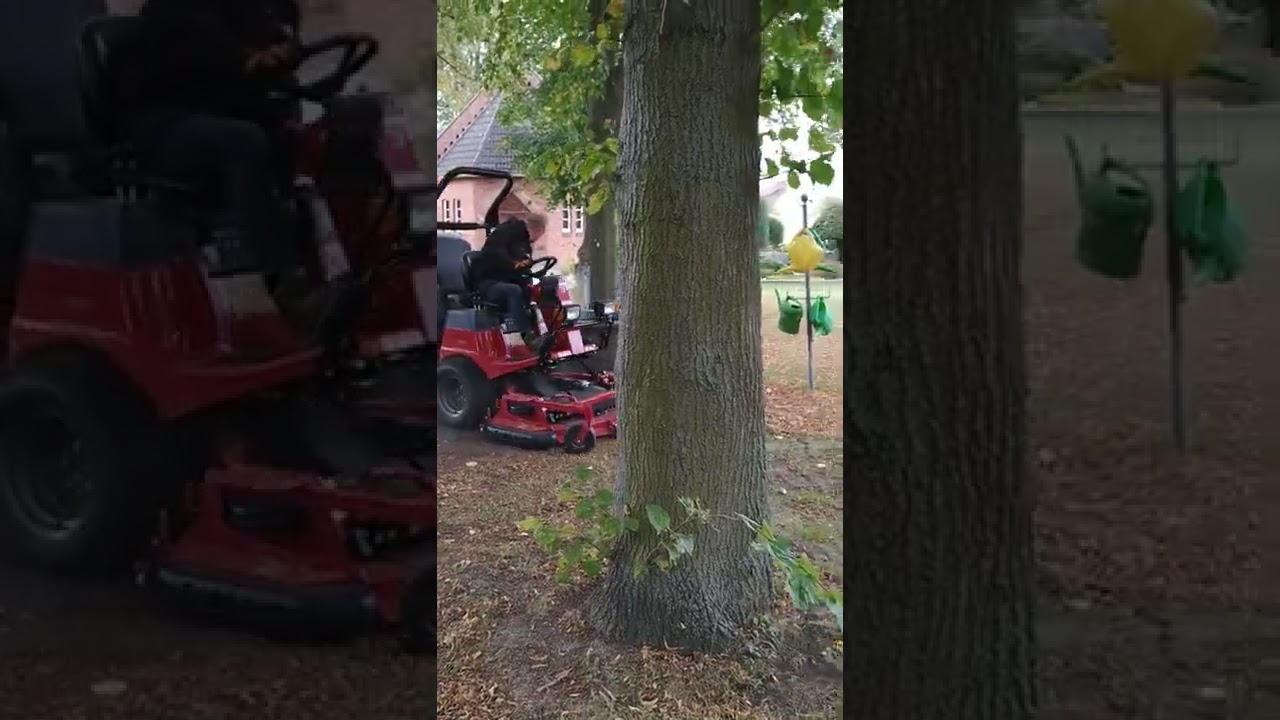 Laub sammeln mit dem Toro PLH 800