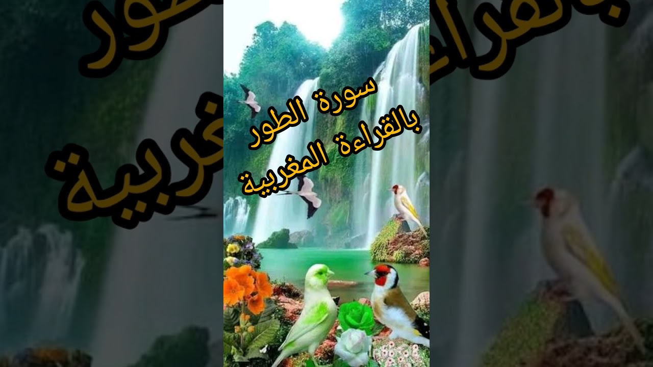 سورة الطور بالقراءة المغربية #القارئة عائشة 🇲🇦