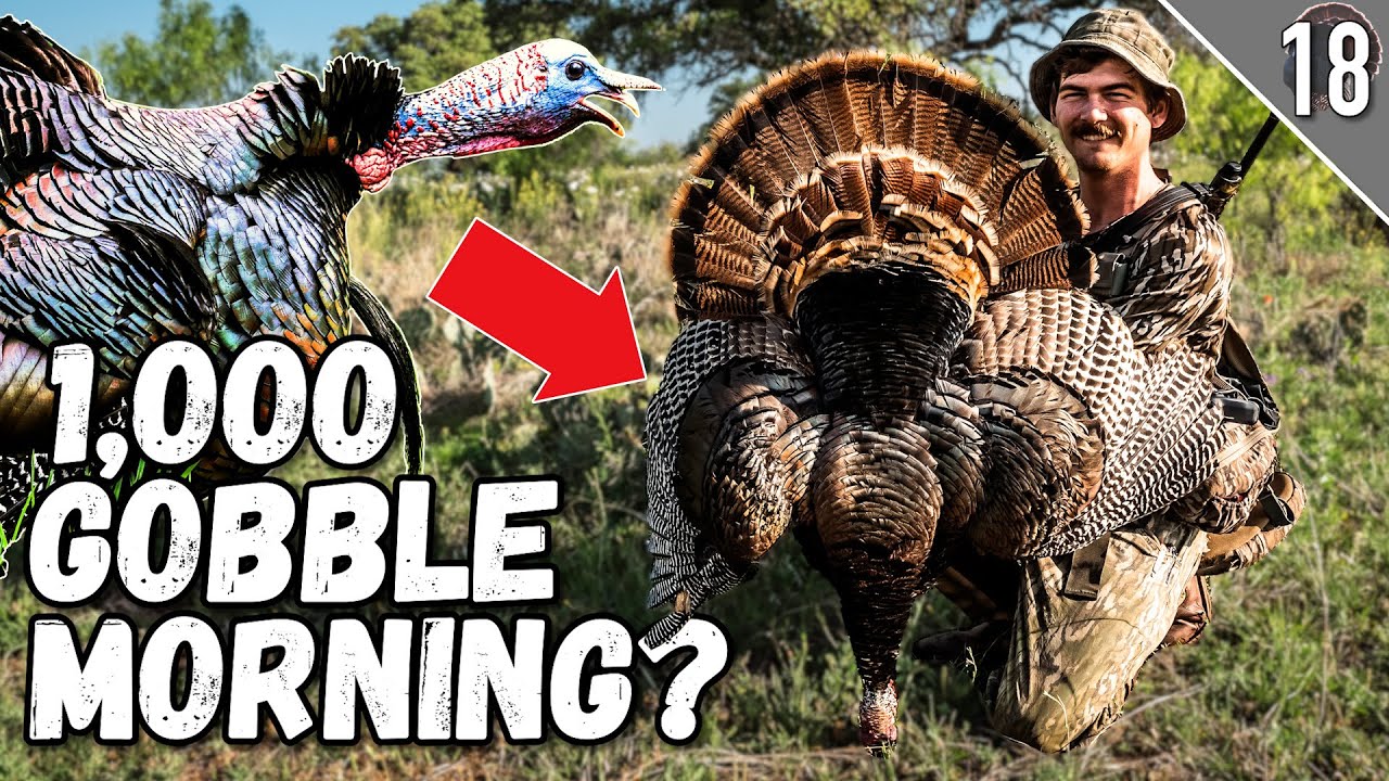 Hunting FIRED UP Gobblers! 🔥 (Awesome Texas Turkey Hunt!)