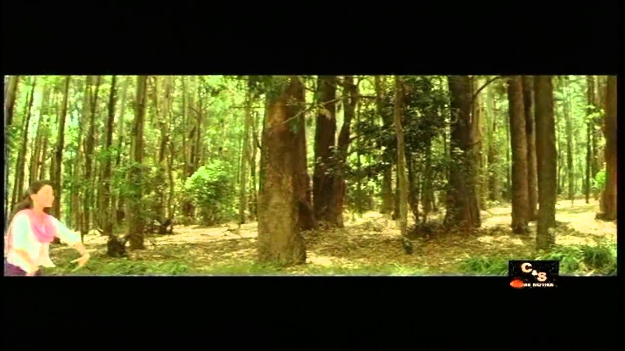 Ron suwanda dena Original video