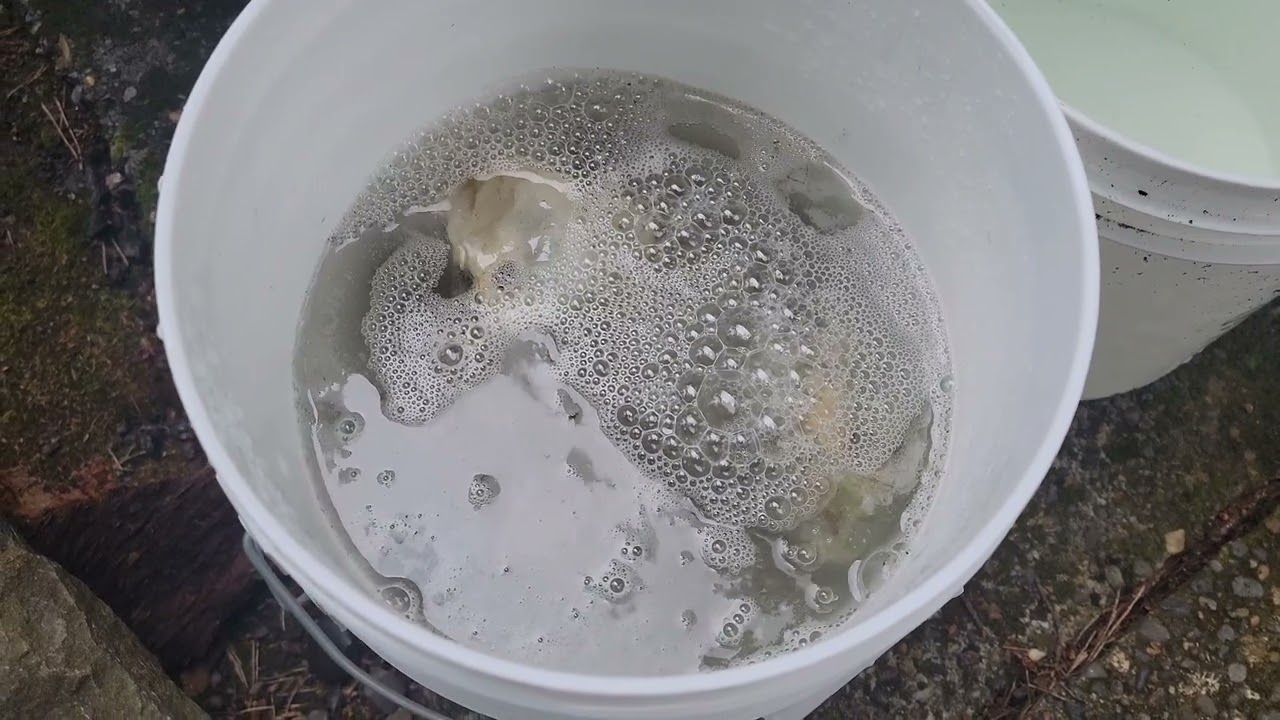 Nehalem River Agates Cleanup Process