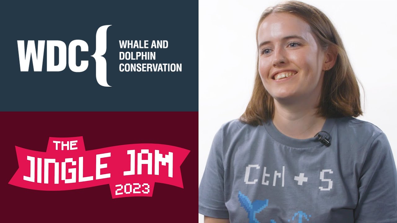 Whale and Dolphin Conservation | #JingleJam2023 Charity Profile