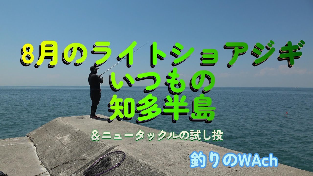 8月の知多半島でのライトショアジギ