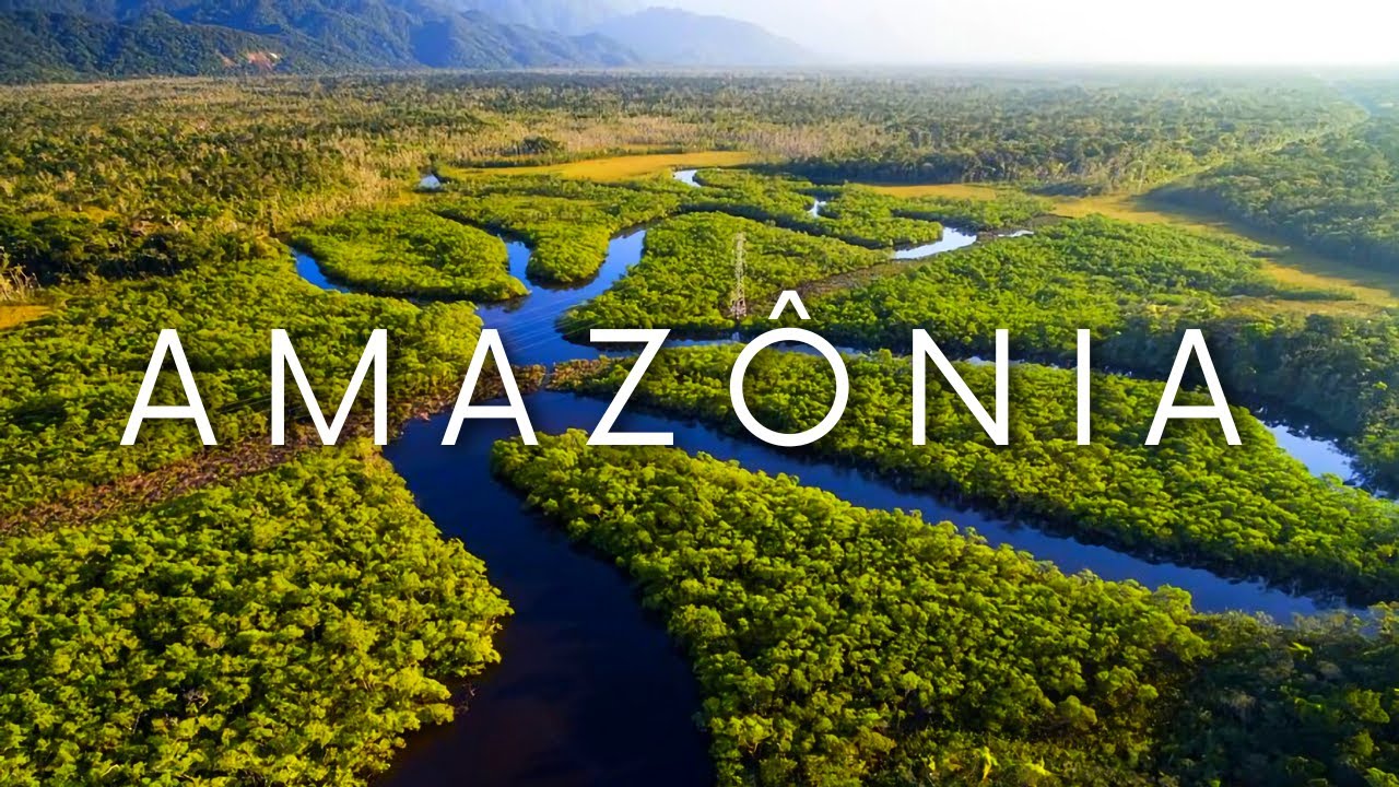 O QUE FAZER NA AMAZÔNIA? GUIA COMPLETO COM MELHORES LUGARES PARA VISITAR, DICAS E PREÇOS