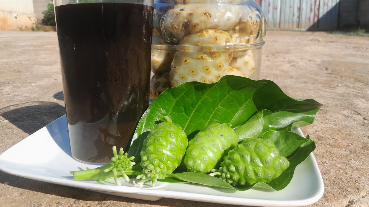 Я думала, что нони — это просто сок… Я ошибалась.