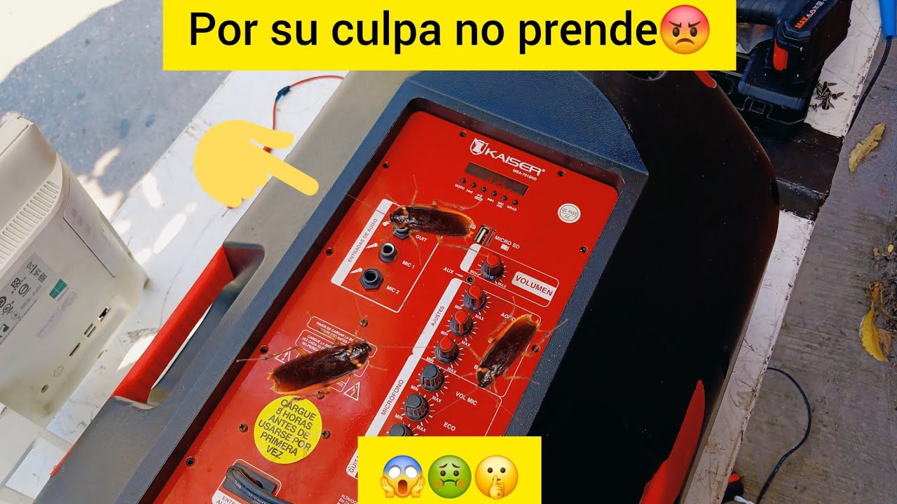 Bocina Kaiser 15 pulgadas  no enciende