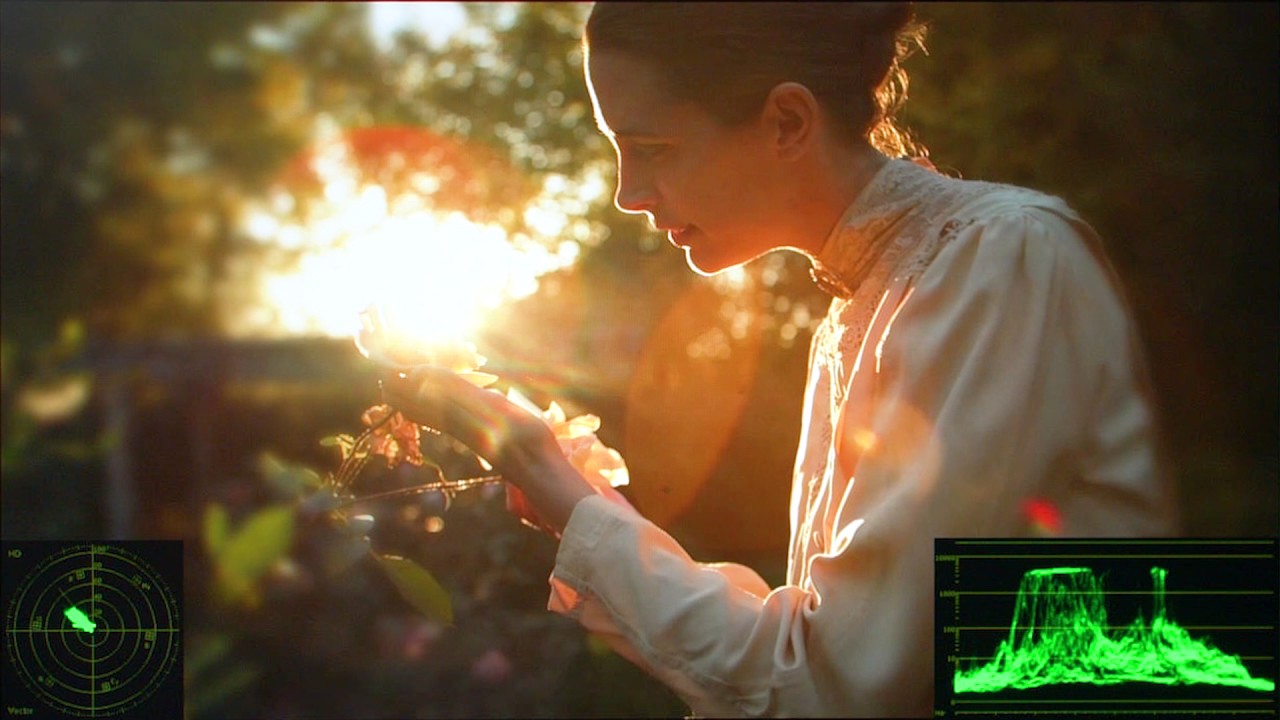 Advanced Real Time Waveform & Vectorscope for DM Series Monitors