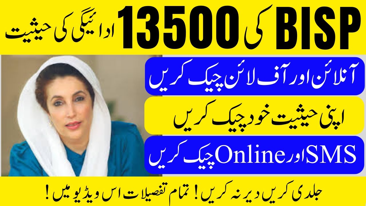 How to Check BISP 13500 Payment Status Online & Offline Methods | Explained 8171 SMS & Portal