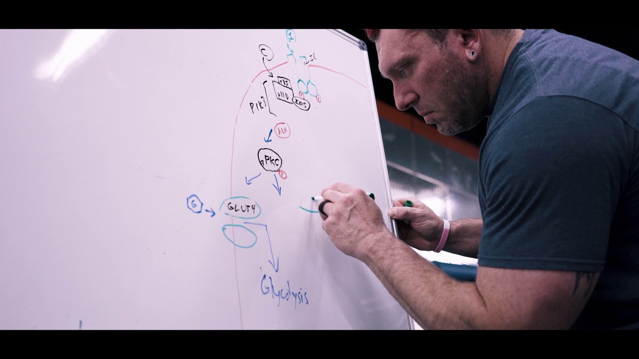 The Guerrilla Chemist Explains His Chemix GDA Formulation