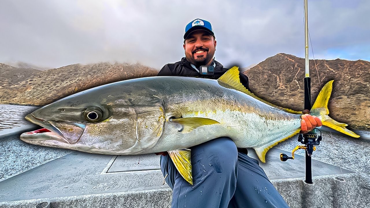 Pescando en FRENESÍ de JURELES yellowtail GIGANTES en una ISLA en medio del PACIFICO 