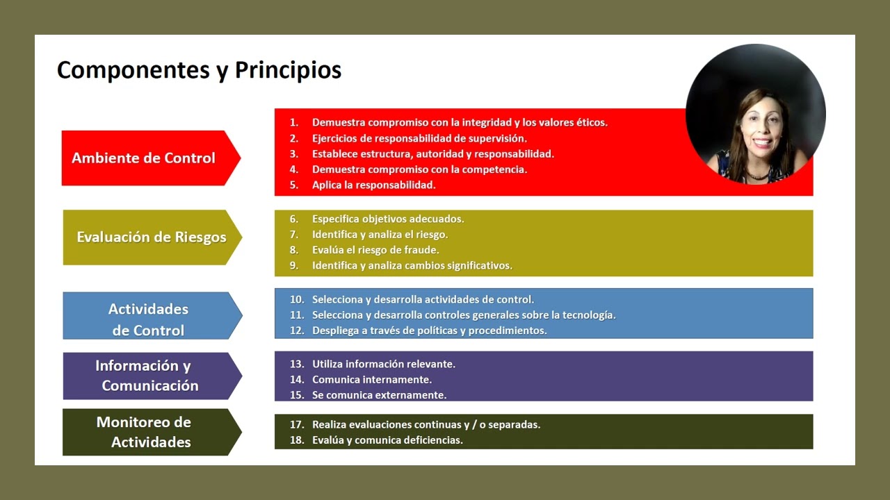 Video académico: Resumen del  Estándar COSO ERM