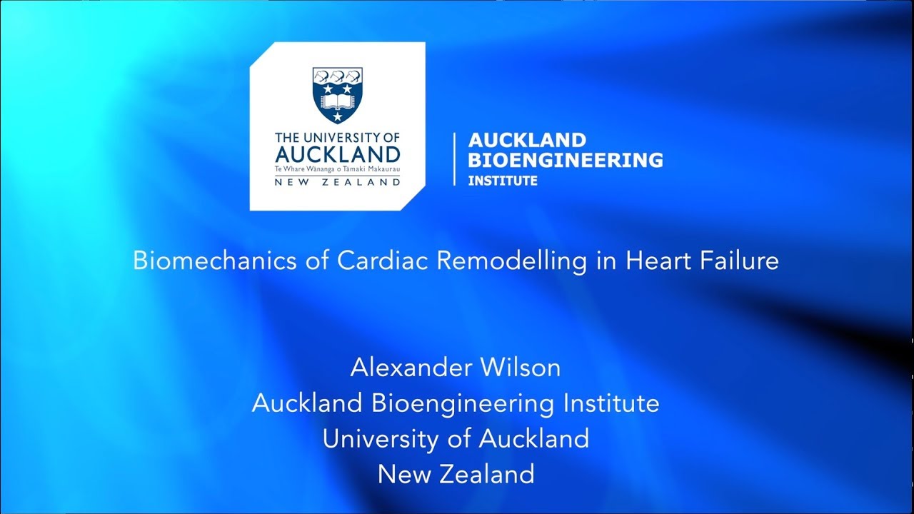 Biomechanics of Cardiac Remodelling in Heart Failure