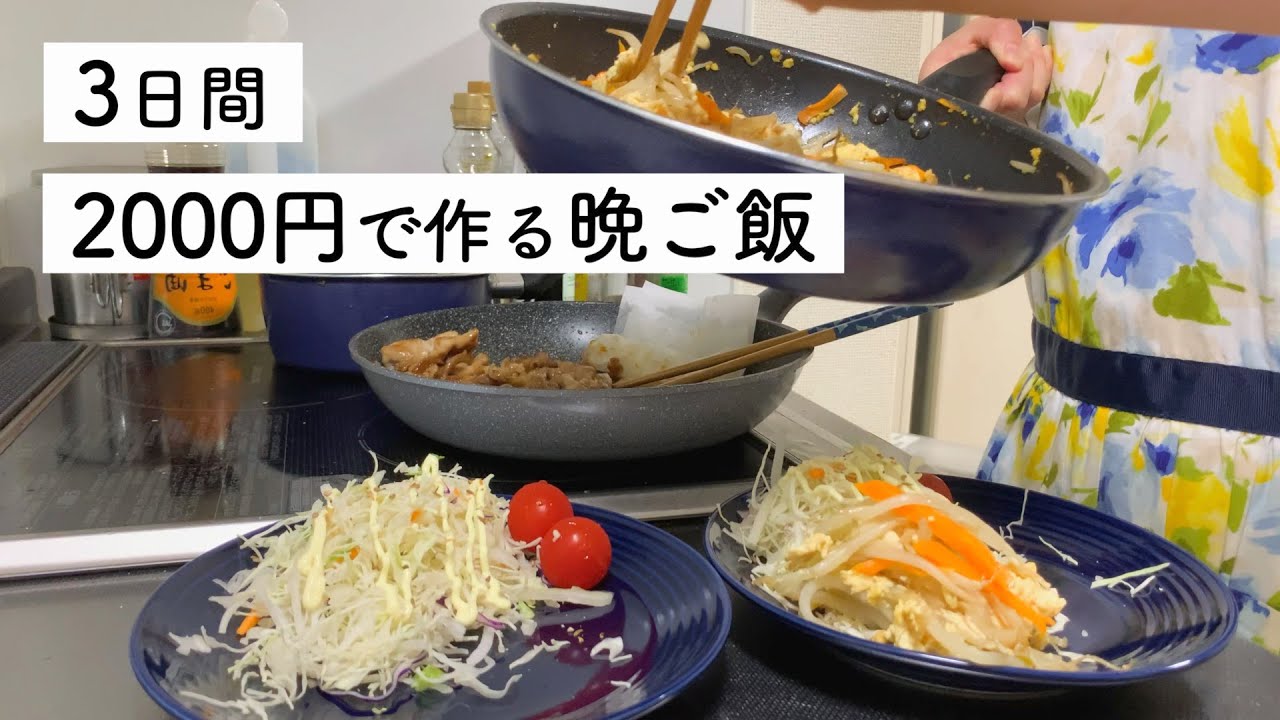 【食費2.5万円】3日間で2000円の晩ご飯作り｜購入品も紹介【二人暮らし】