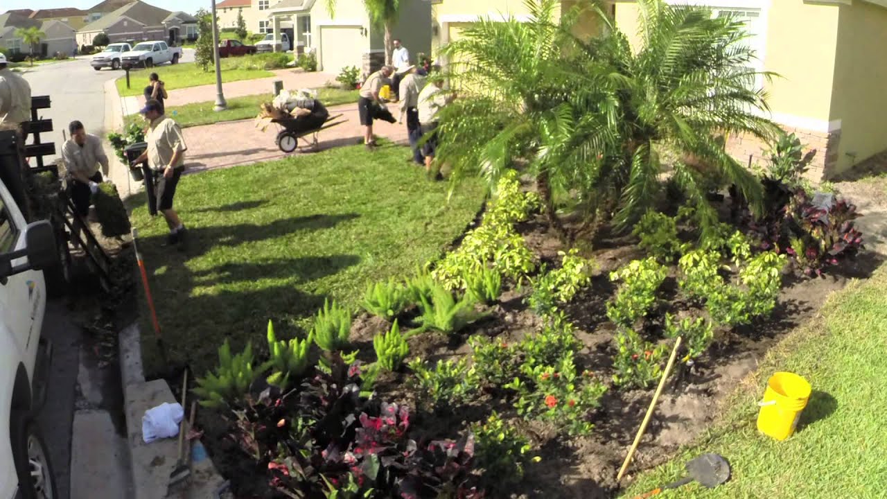 Discovery Cove's Lawn Transformation