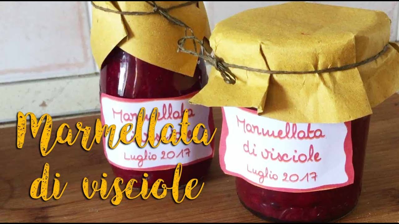 MARMELLATA DI VISCIOLE / AMARENE