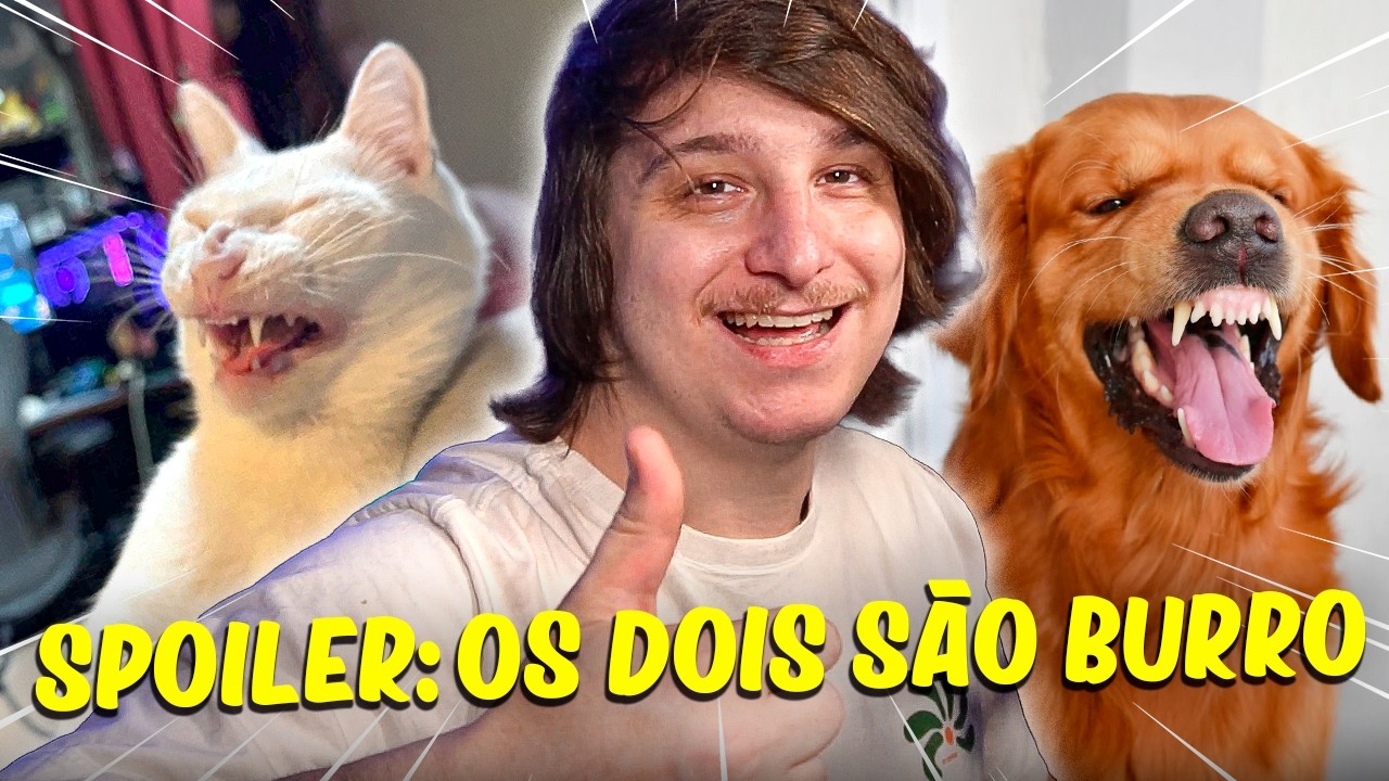 Gatos ou Cachorros, quem são mais Burros!
