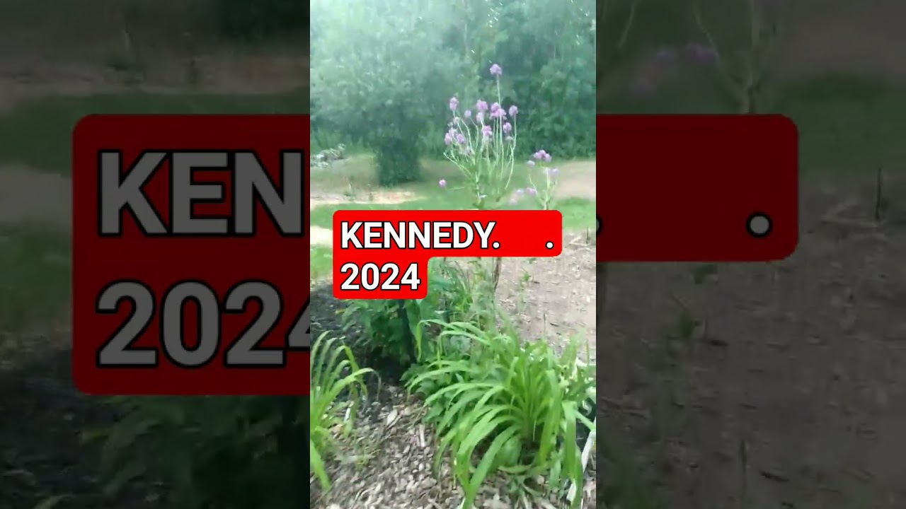 KENNEDY2024