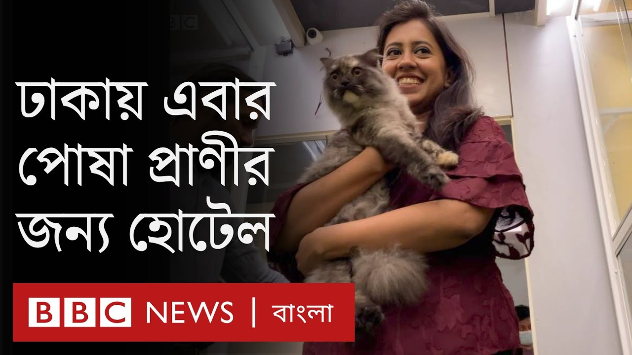 ঢাকায় পোষা প্রাণীর থাকার জন্য হোটেল খুলেছেন যারা || Furryghor - Hotel for Pets in Dhaka