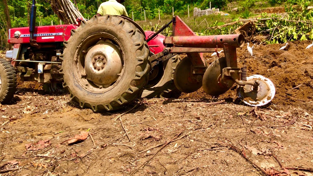 Massey Ferguson 135 Tractor ploughing