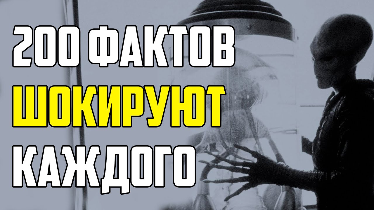 200 ШОКИРУЮЩИХ ФАКТОВ, О КОТОРЫХ ВЫ ДАЖЕ НЕ ПОДОЗРЕВАЛИ