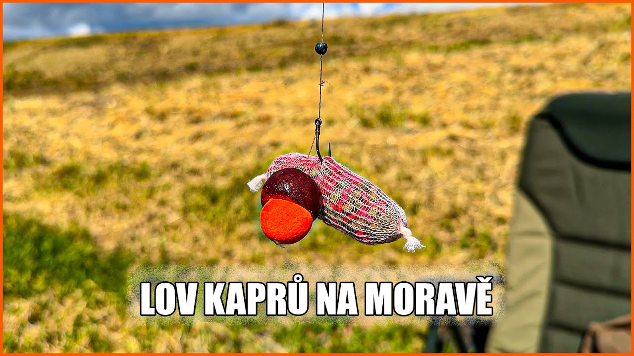 Kapři na řece Moravě s boilies a PVA / 3 dny na m&iacute;stě, kter&eacute; přineslo ryby až posledn&iacute; den v&yacute;pravy