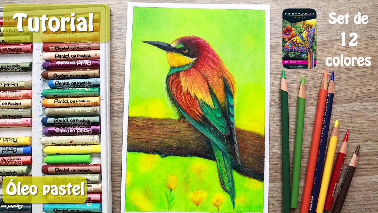 Cómo pintar un Pájaro con COLORES  y ÓLEO PASTEL