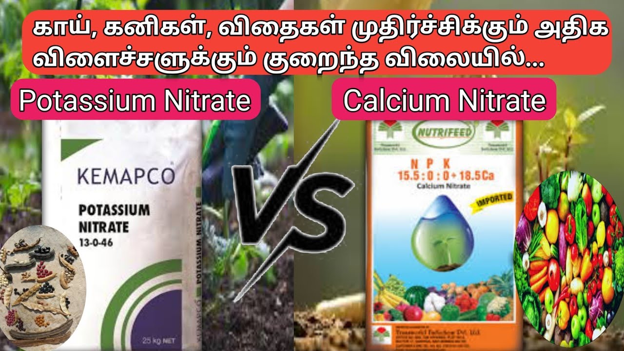 Potassium Nitrate மற்றும் calcium Nitrate உரத்தின் பயன்கள் என்ன? | c:n and 13:0:45 fertilizer uses