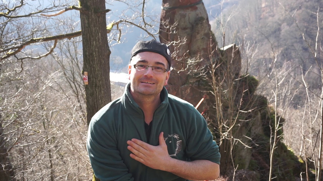 Sagen im Harz: Der Gänseschnabel bei Ilfeld