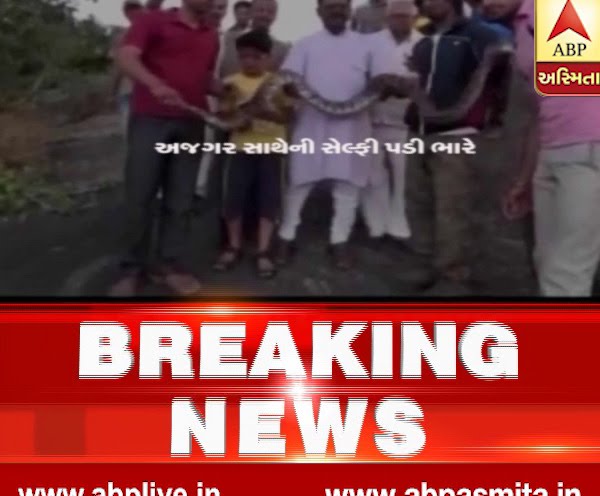 Python Attack On Youth In Mount Abu, watch video