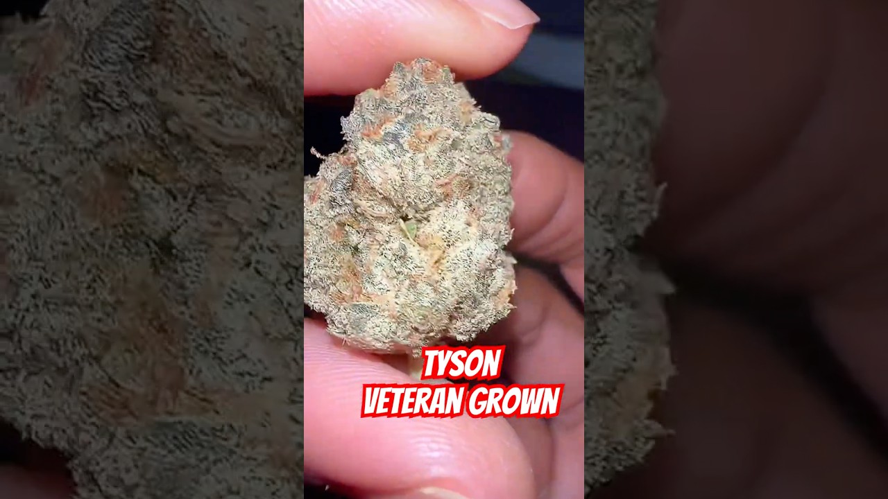 Tyson from Veteran Grown #subscribe #freetheplant #420community #review #tyson #veterangrown