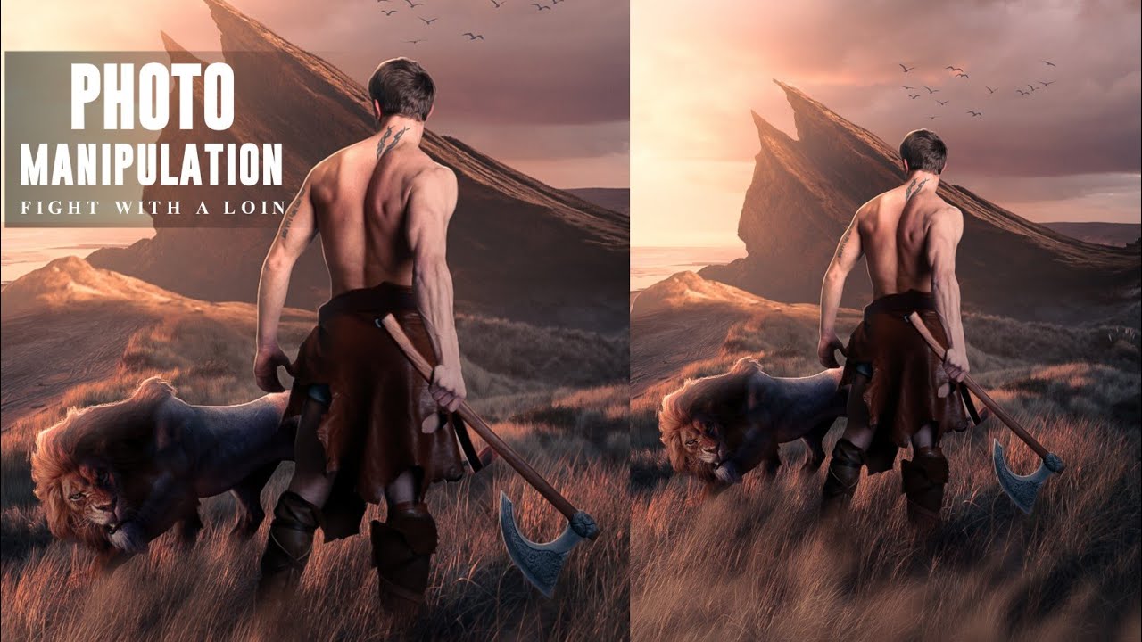 Fight With A Loin Concept Artwork | Photo Manipulation in Ps Touch App | RME