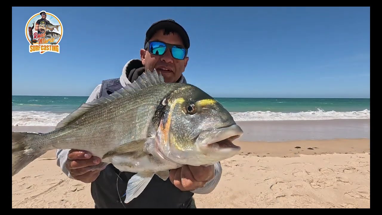 SUPER DORADON NOVIEMBRE RAUL MARIO SURFCASTING
