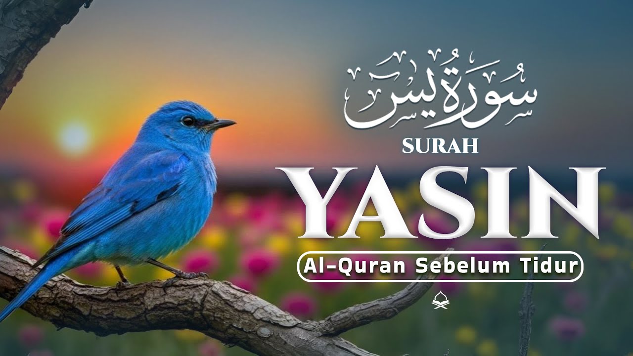 BACAAM AL-QURAN Yang Sangat Merdu Menangis | Suarh Yasin । Al-Quran Merdu TV