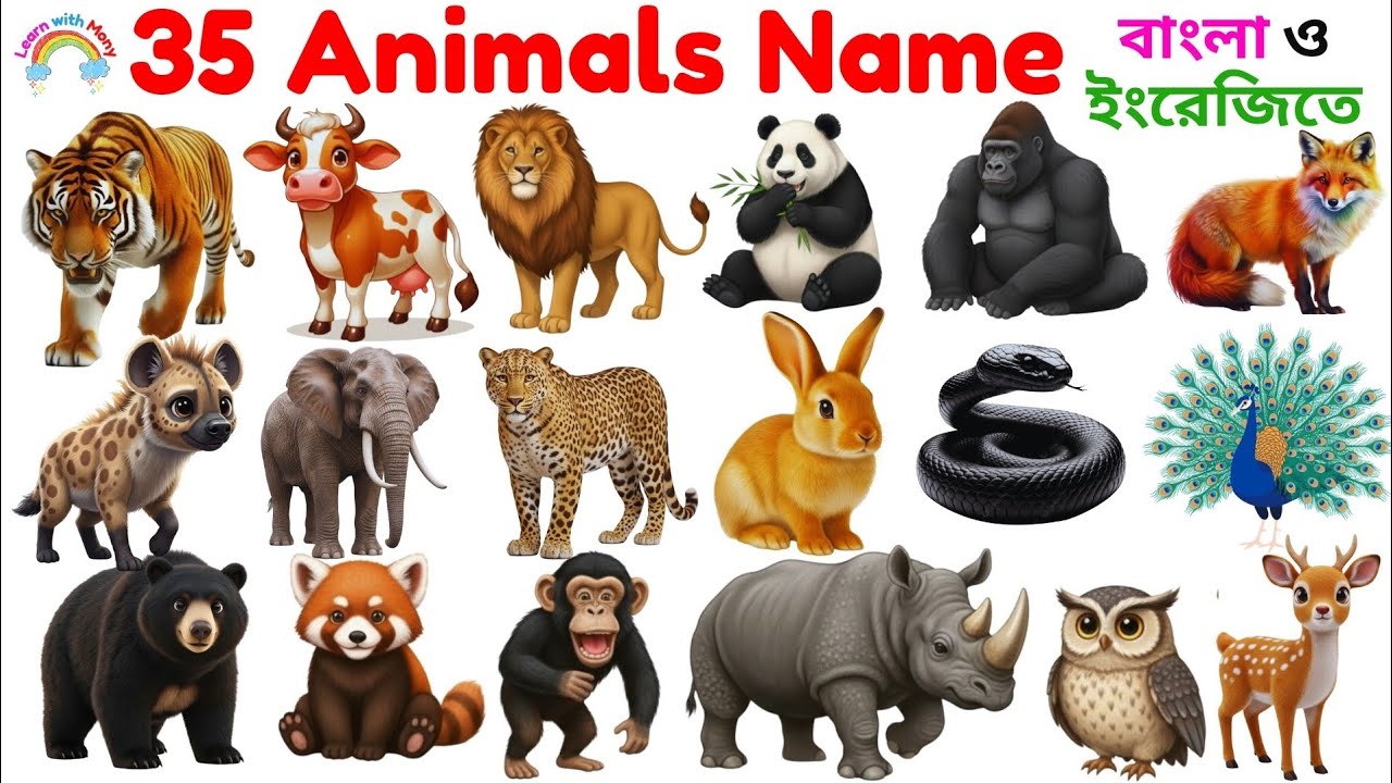 Animals Name|Learn 35 Animals Name for Kids|Animals Name in English with Pictures|Animals Vocabulary