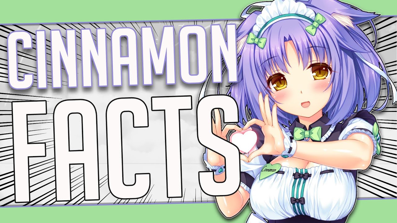 5 Facts About Cinnamon - Nekopara