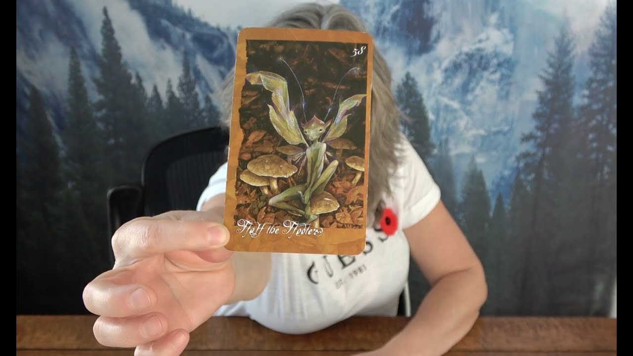 Scorpio - You're On The Wrong Side Of The Wall! Faery Week