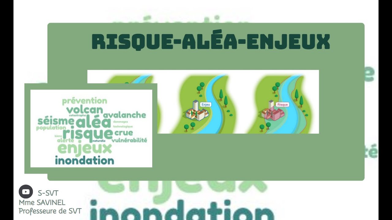 risque al&eacute;a et enjeux