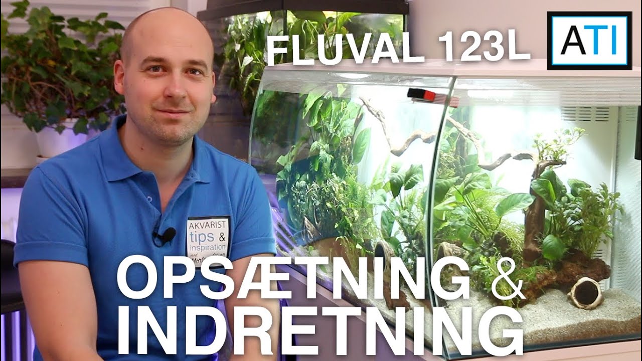 Indretning og opstart af Fluval Flex 123 liters akvarie
