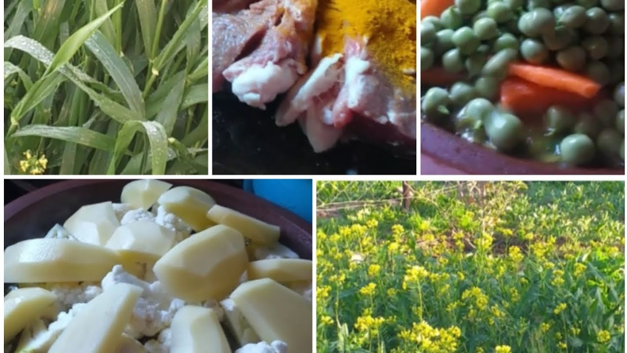 أجواء طبيعية خلابة 🌳🌸مع تحضير طاجين اللحم والخضار  🥘🥕🥔🥦