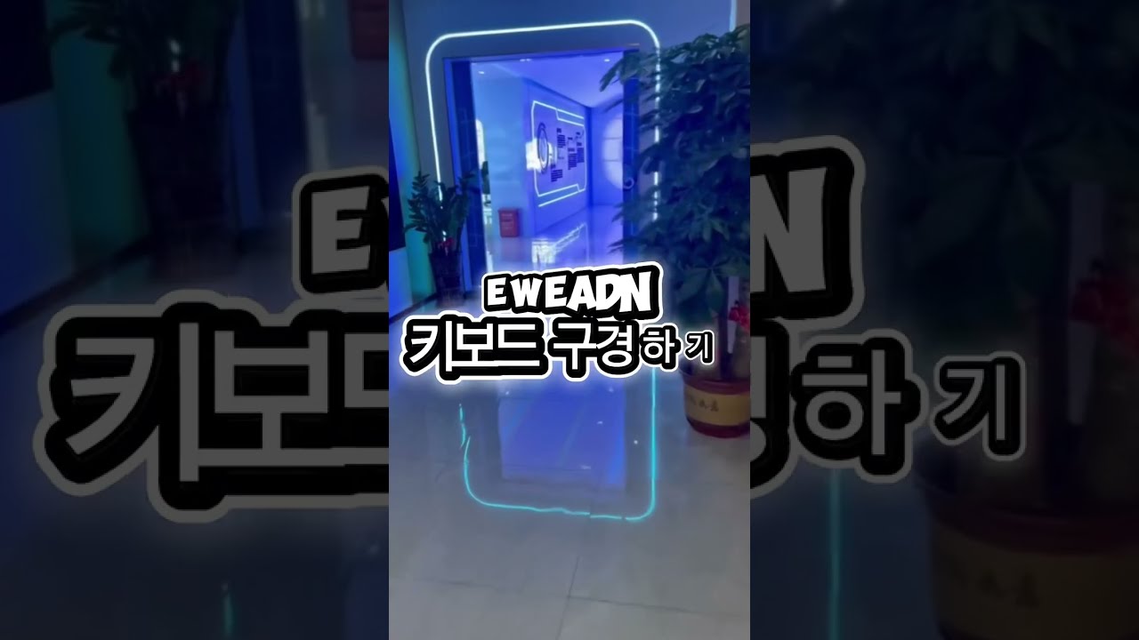 EWEADN 본사 쇼룸 랜선 투어 #기계식키보드 #EWEADN #x87