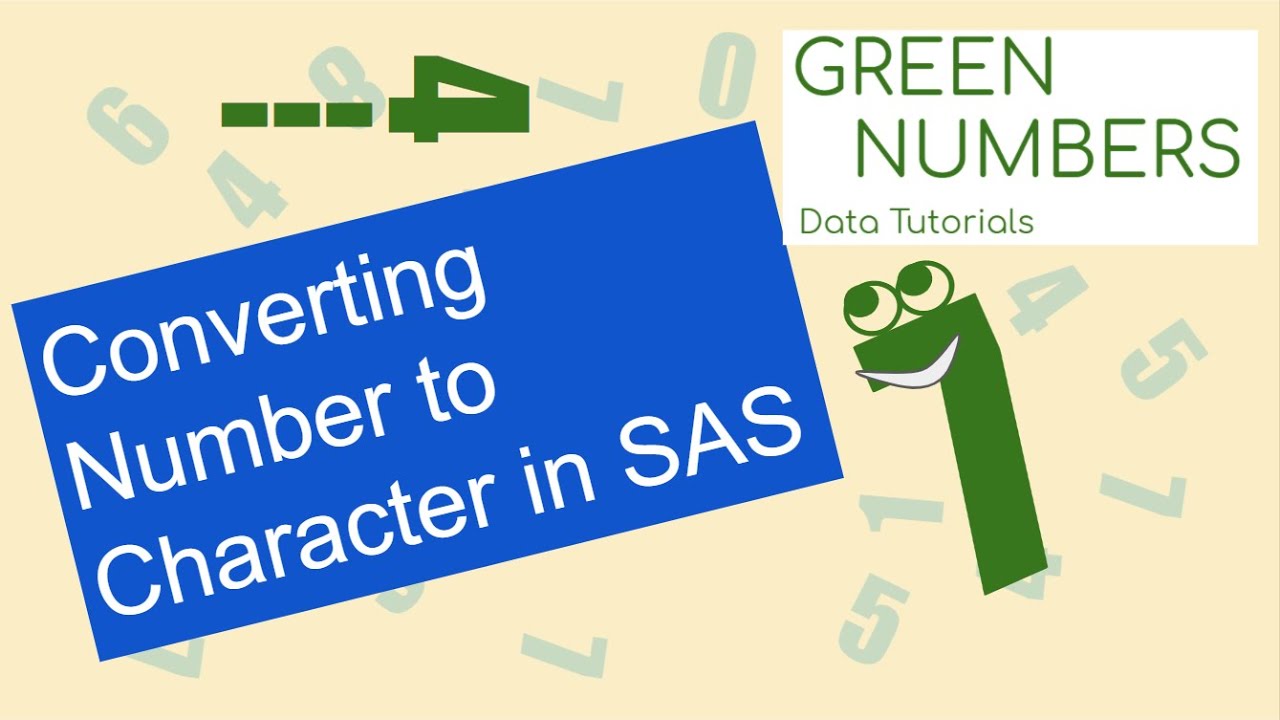 Converting Numeric to Character in SAS | Data Tutorial | PUT Function