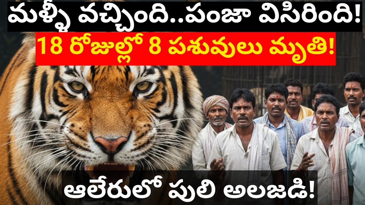 యాదాద్రి జిల్లాలో మళ్ళీ పులి కలకలం! 18 రోజుల్లో 8 పశువుల బలి.. జనం విలవిల! Satish Talks