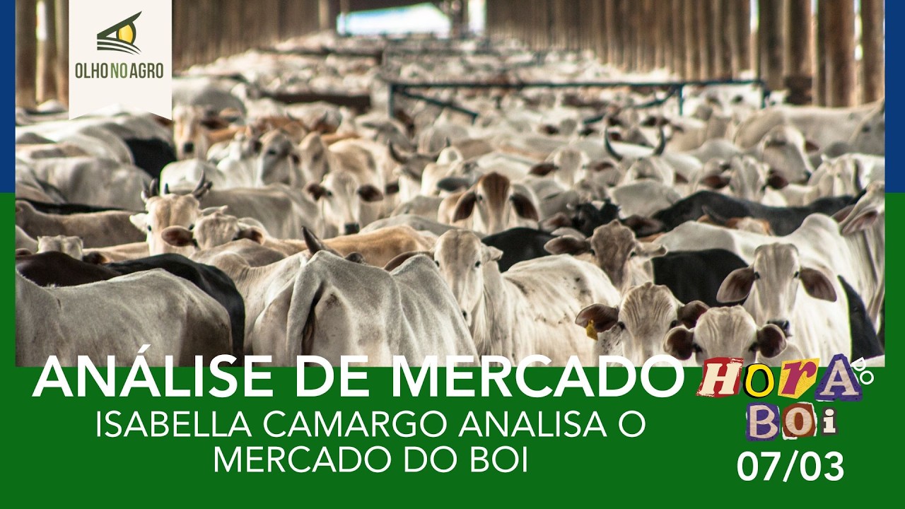 HORA DO BOI 07/03 - ISABELLA CAMARGO ANALISA O MERCADO DO BOI